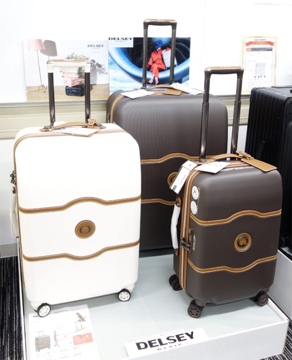 旅行のサブバッグにデザイン性のあるバックパック／DELSEY | Bagazine bit