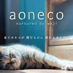 継続的且つ透明性のあるチャリティー、新作やコラボ商品も続々登場／aoneco