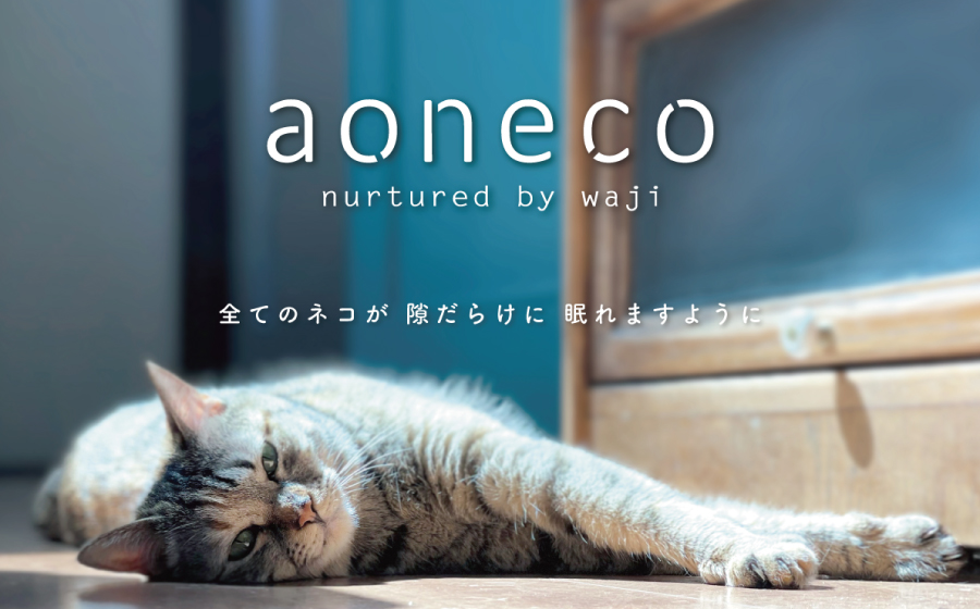 継続的且つ透明性のあるチャリティー、新作やコラボ商品も続々登場／aoneco